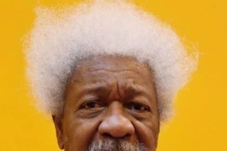 Tinubu names Abuja Highway after Wale Soyinka