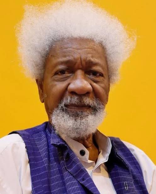 Tinubu names Abuja Highway after Wale Soyinka