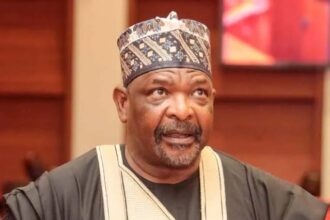 Senator Ningi resumes plenary