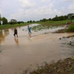 Flood-borne disease outbreak looms: CSOs raises alarm in Bauchi