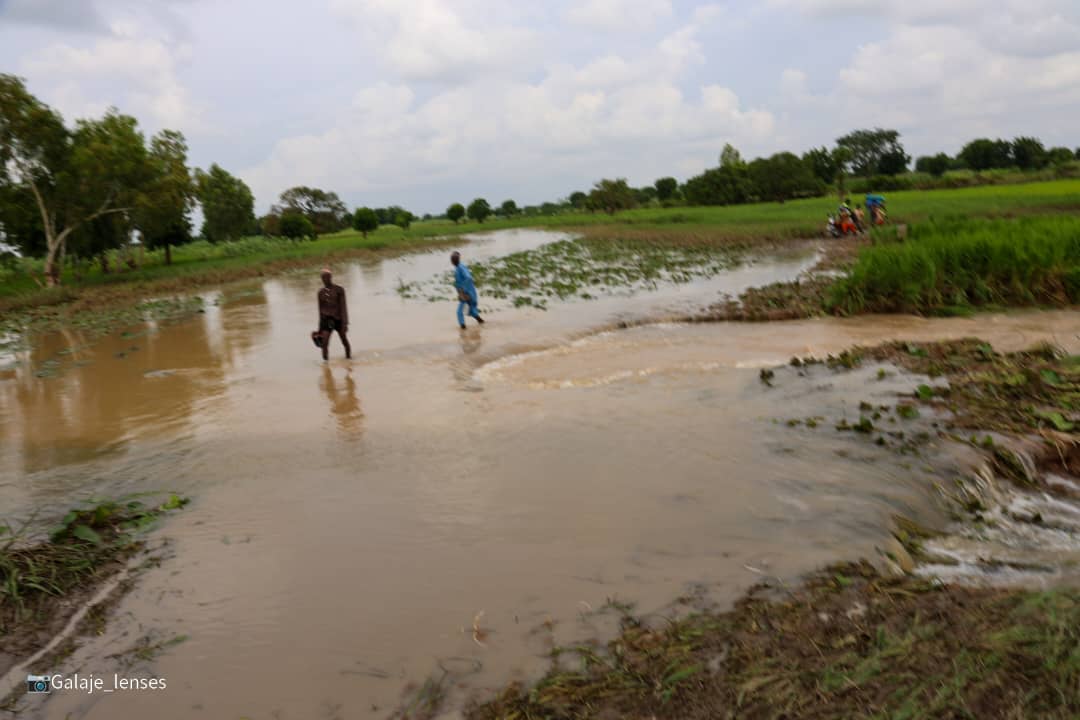 Flood-borne disease outbreak looms: CSOs raises alarm in Bauchi