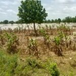 Bauchi Assembly Urges Government to Address Devastating Floods, Displacement