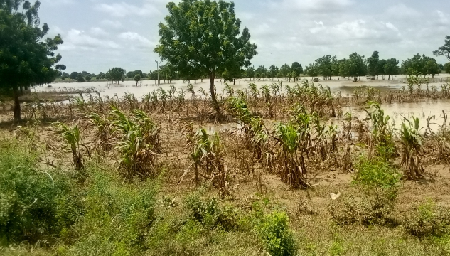 Bauchi Assembly Urges Government to Address Devastating Floods, Displacement