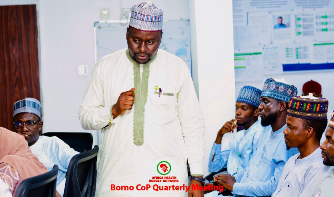 Borno CoP Vows to Reduce Zero-Dose Prevalence, Boost Immunization