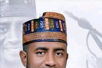 APC Bauchi South Vice Chairman Condemns Attempt to Recall Sen. Buba