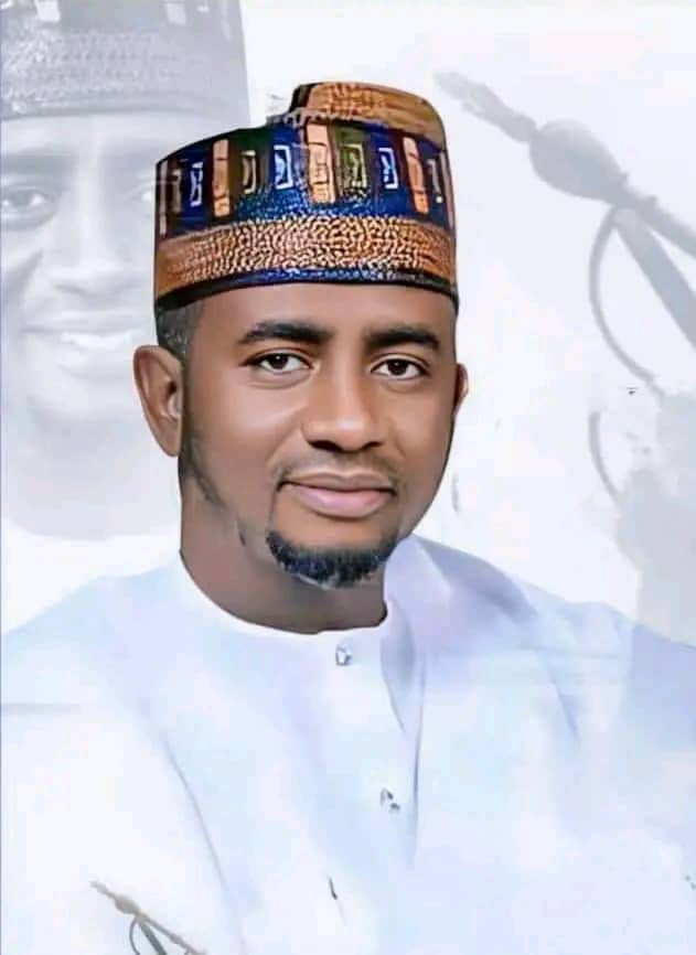 APC Bauchi South Vice Chairman Condemns Attempt to Recall Sen. Buba