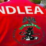 NDLEA Seizes Large Quantity of Illicit Drugs, Arrests 415 Suspects