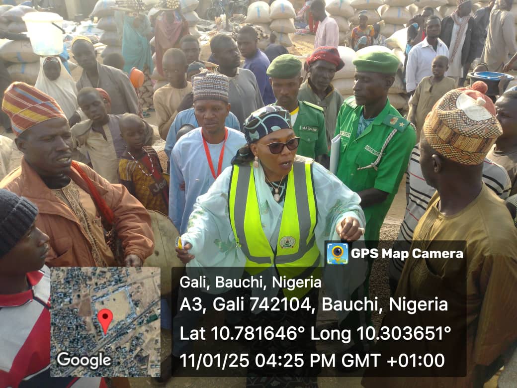 ‘Chemicals dangerous for food storage and preservation’, NOA Bauchi Director sensitizes residents
